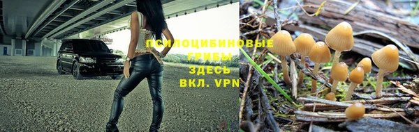 таблы Алексин