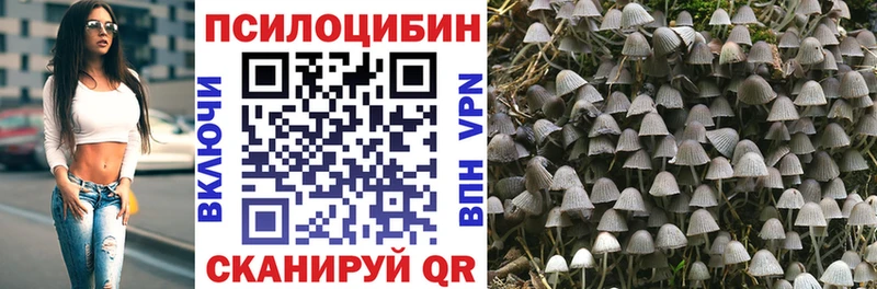 Галлюциногенные грибы Magic Shrooms  нарко площадка телеграм  Полтавская  кракен ТОР 